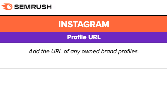“Profile URL” column of social media audit template