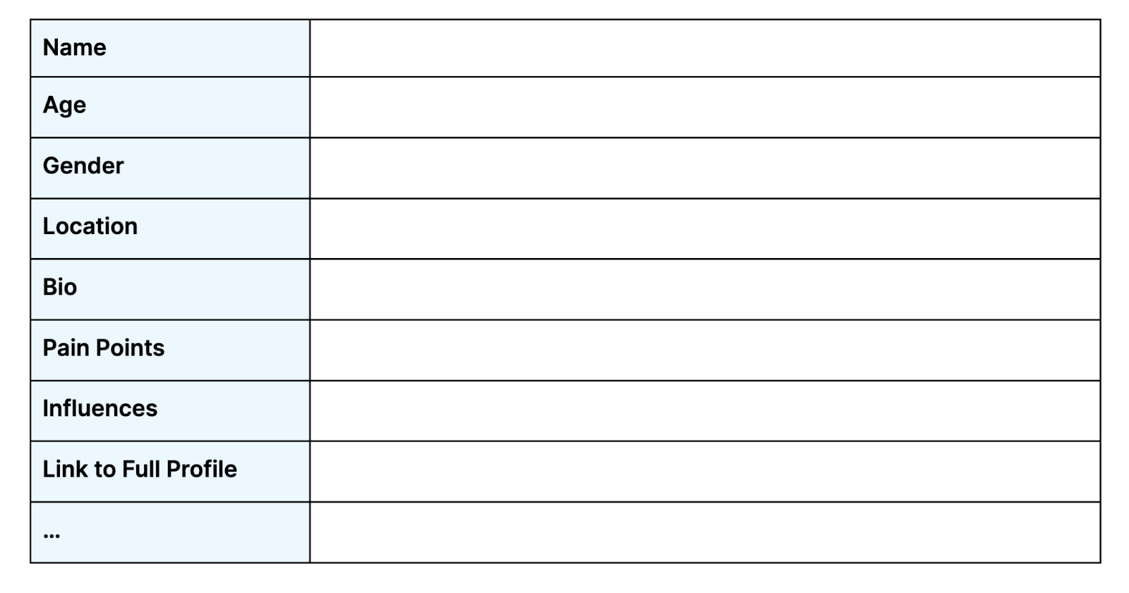 Audience information section in the social media strategy plan template