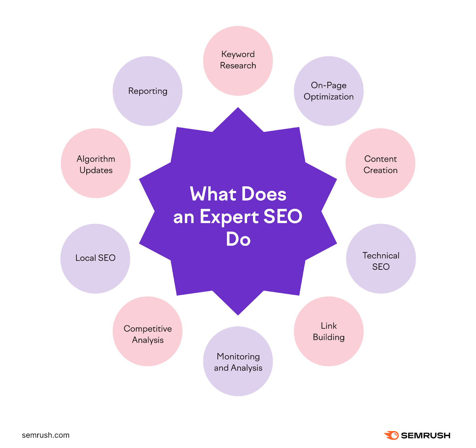 A list of task an SEO expert does