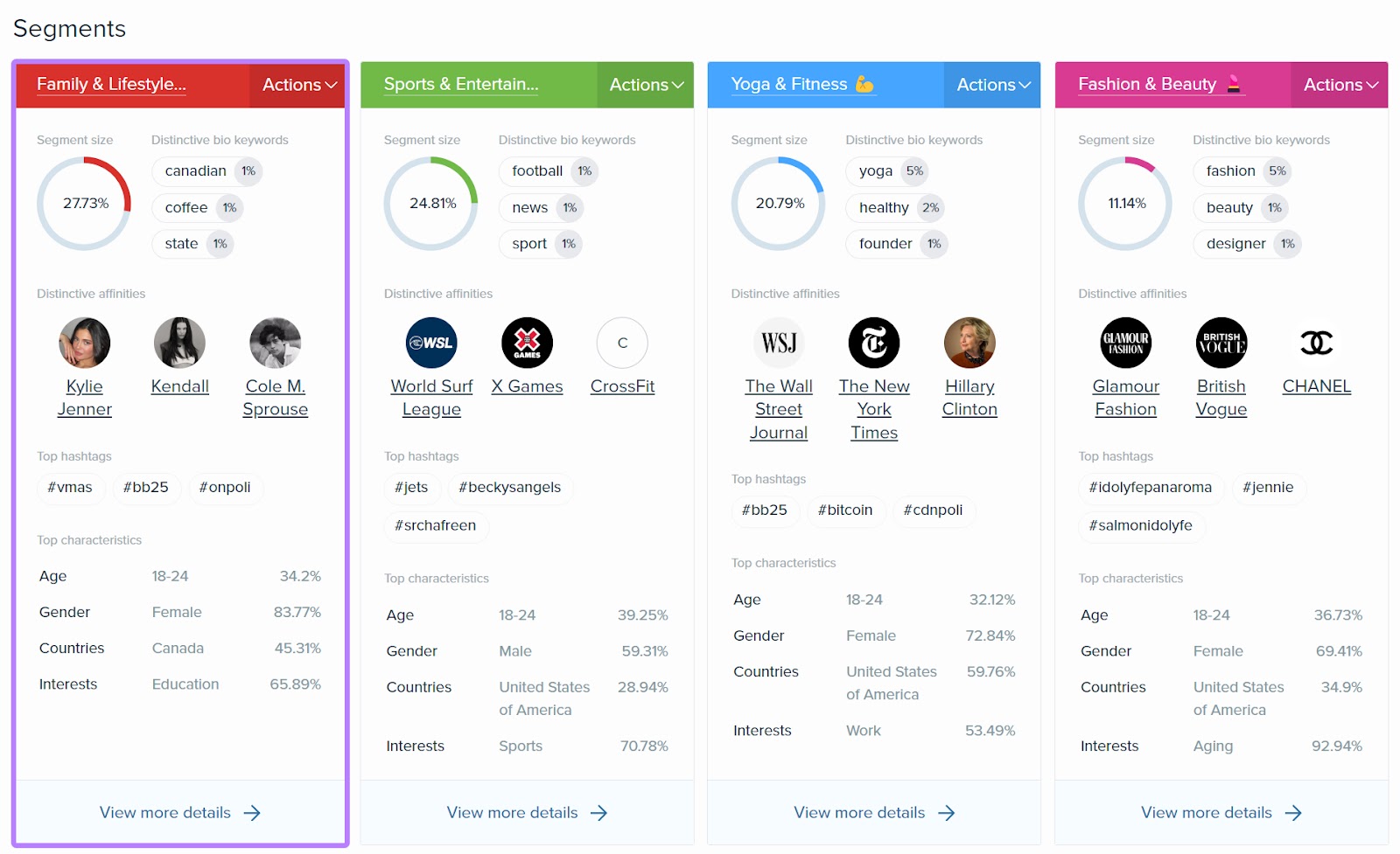 Segments cards section of Audience Intelligence report