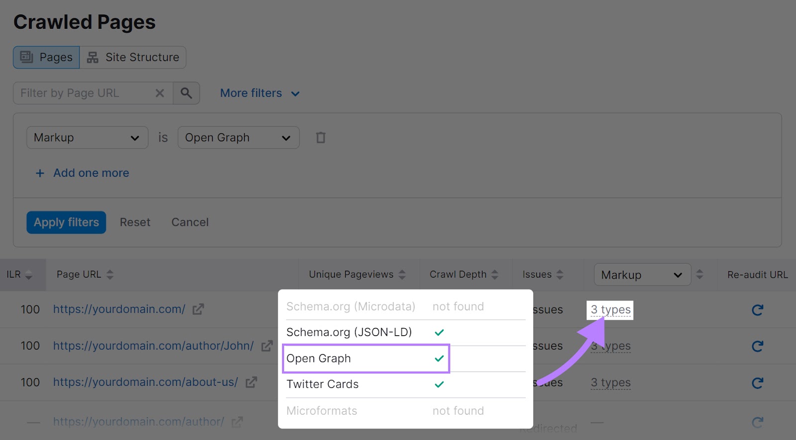 A section with green check marks in Site Audit showing that Open Graph meta tags are correctly implemented