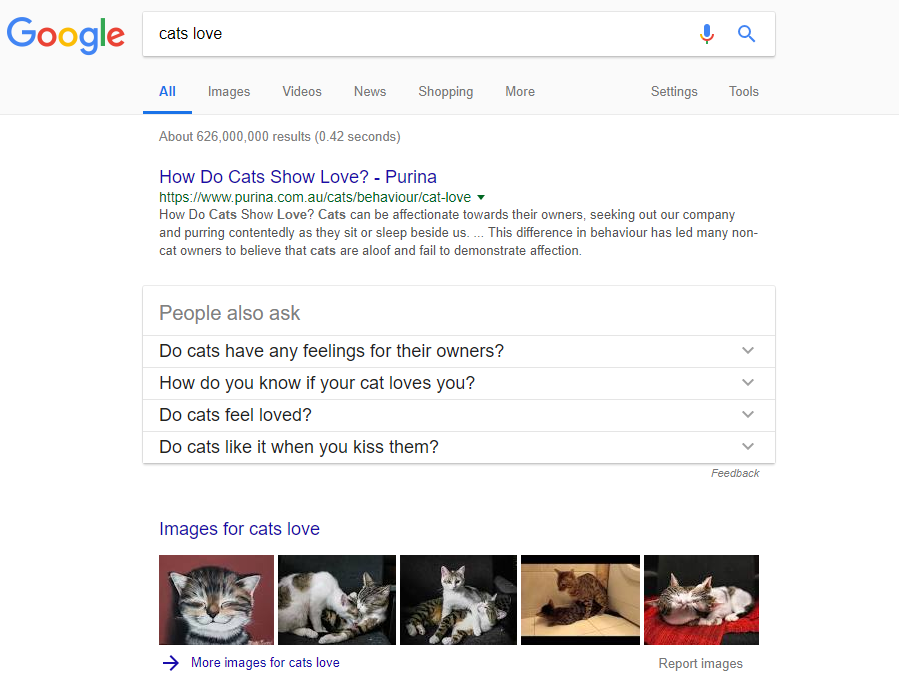 Search results for 'cats love' query