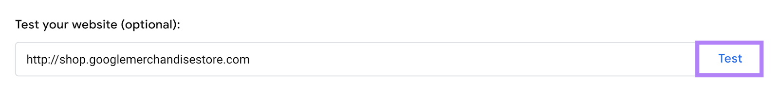 “Test your website (optional)” field