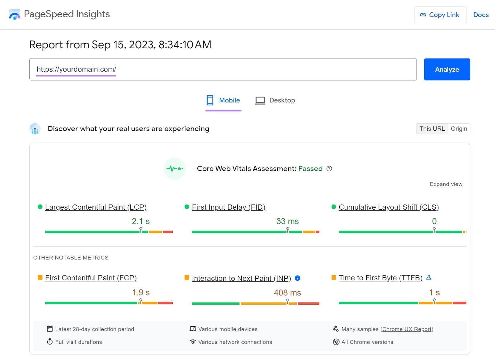 PageSpeed Insights dashboard