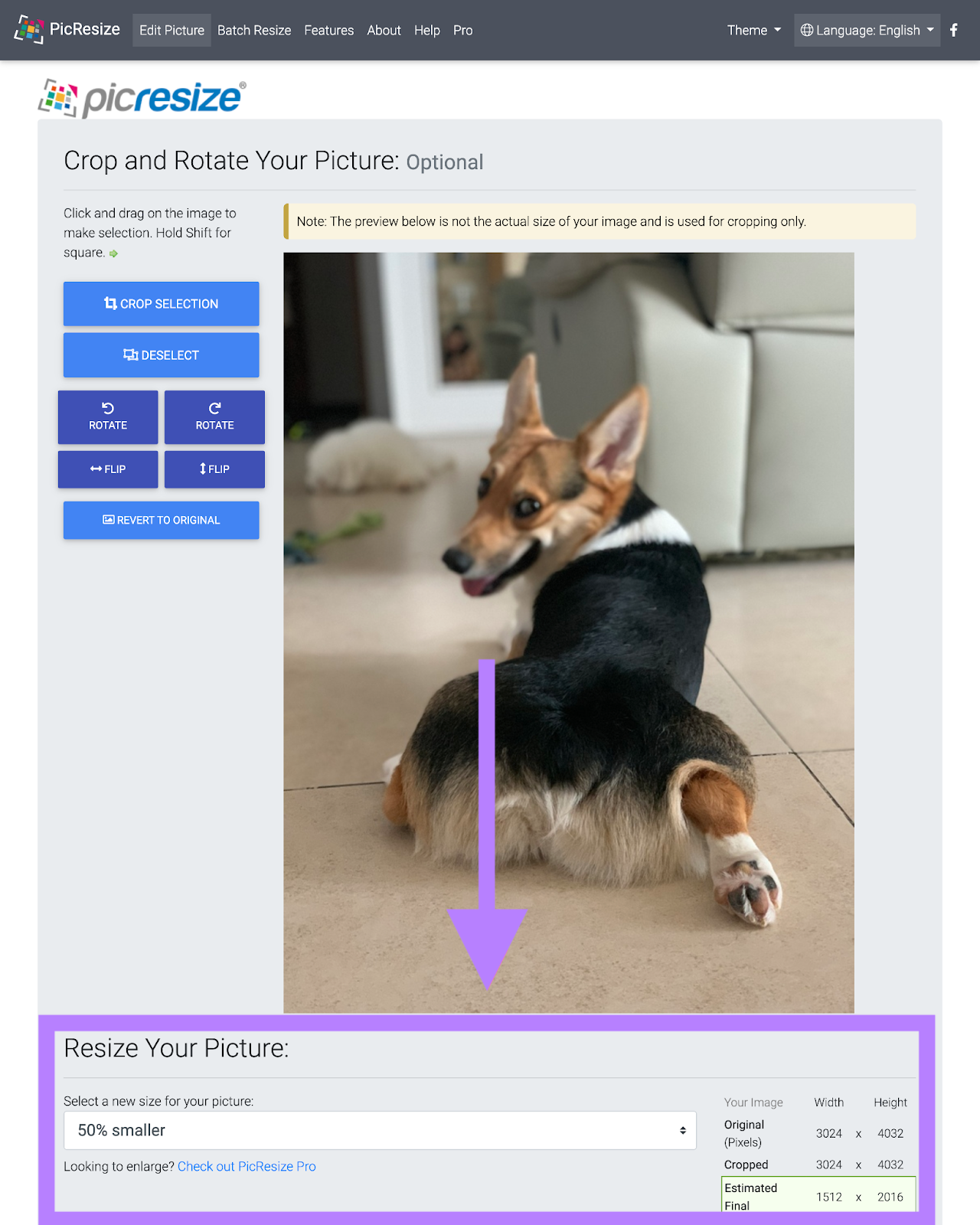 picture of corgi entered into tool with option to resize the picture smaller by 50%