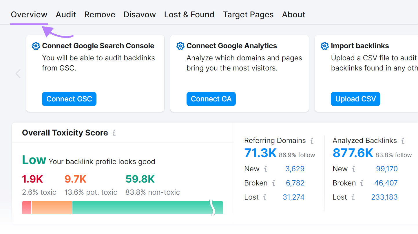 Backlink Audit overview dashboard