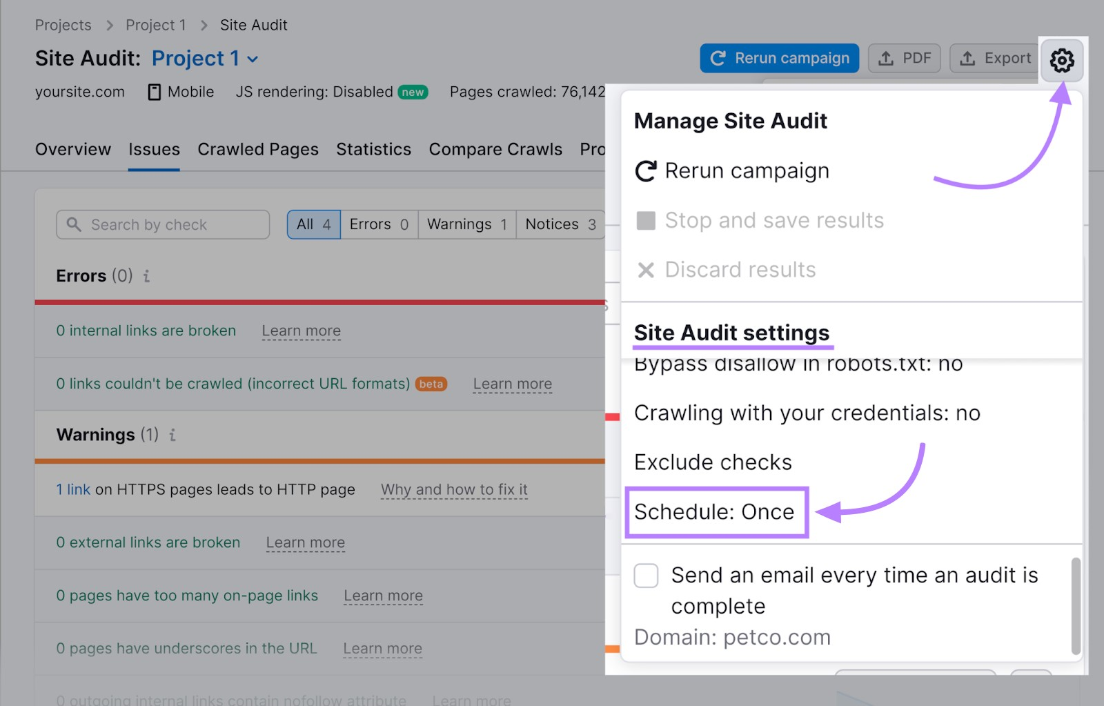 "Manage site audit" section