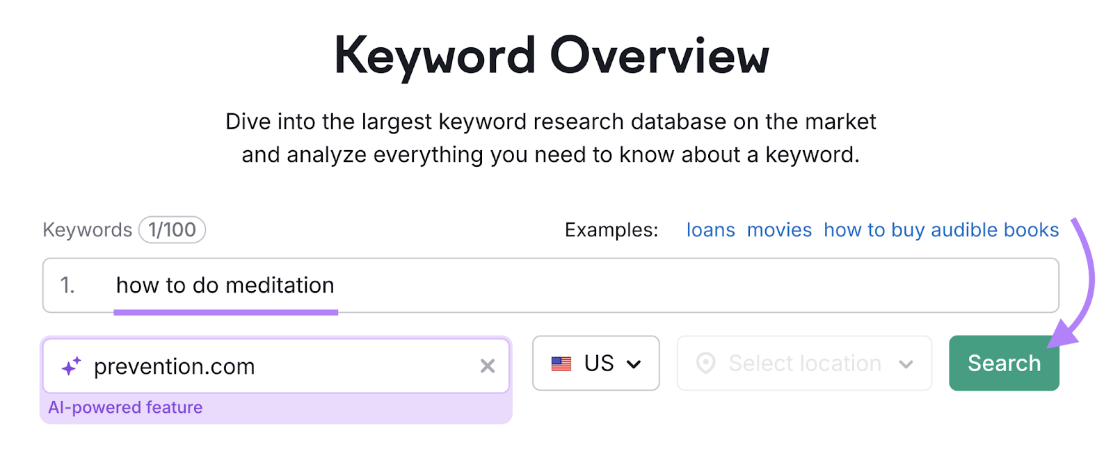 keyword and domain are entered into the tool