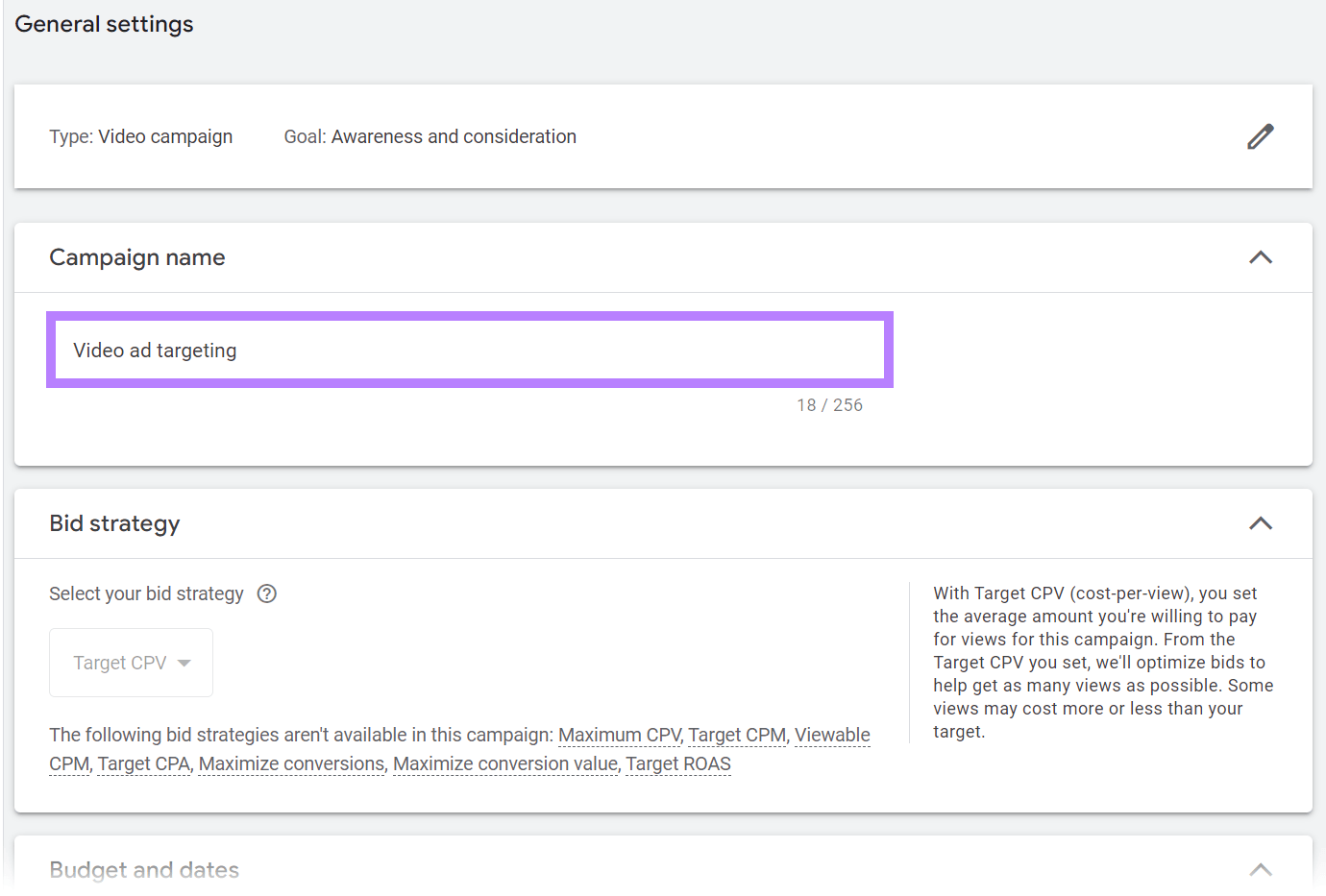 "Video ad targeting" name added to the campaign