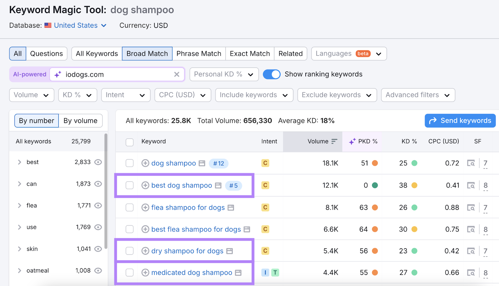 Broad match keyword list shows close variants of the seed keyword