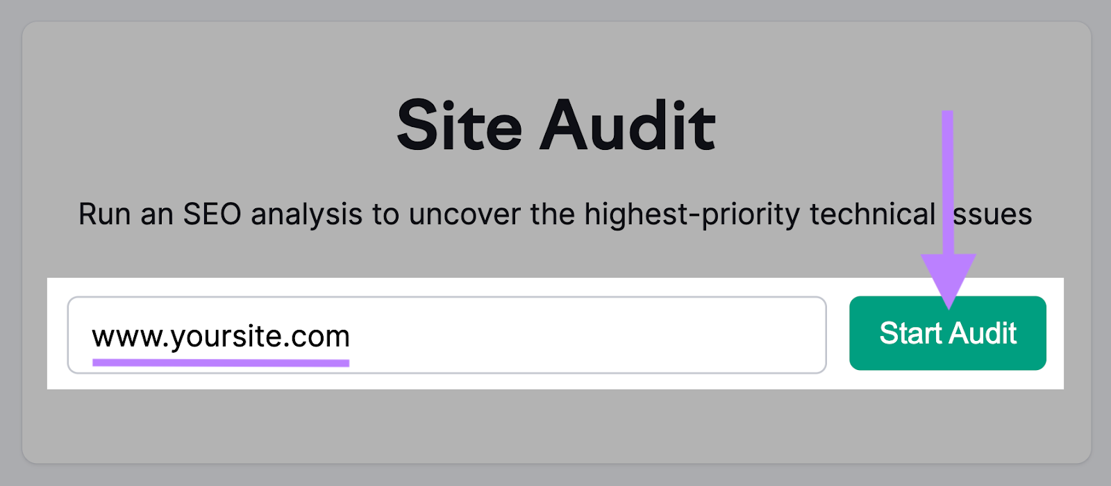 enter your domain in Site Audit tool