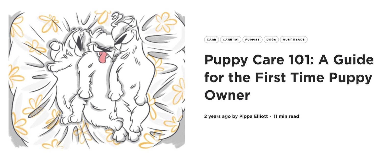 Petcube's article called: "Puppy Care 101: A Guide for the First Time Puppy Owner"