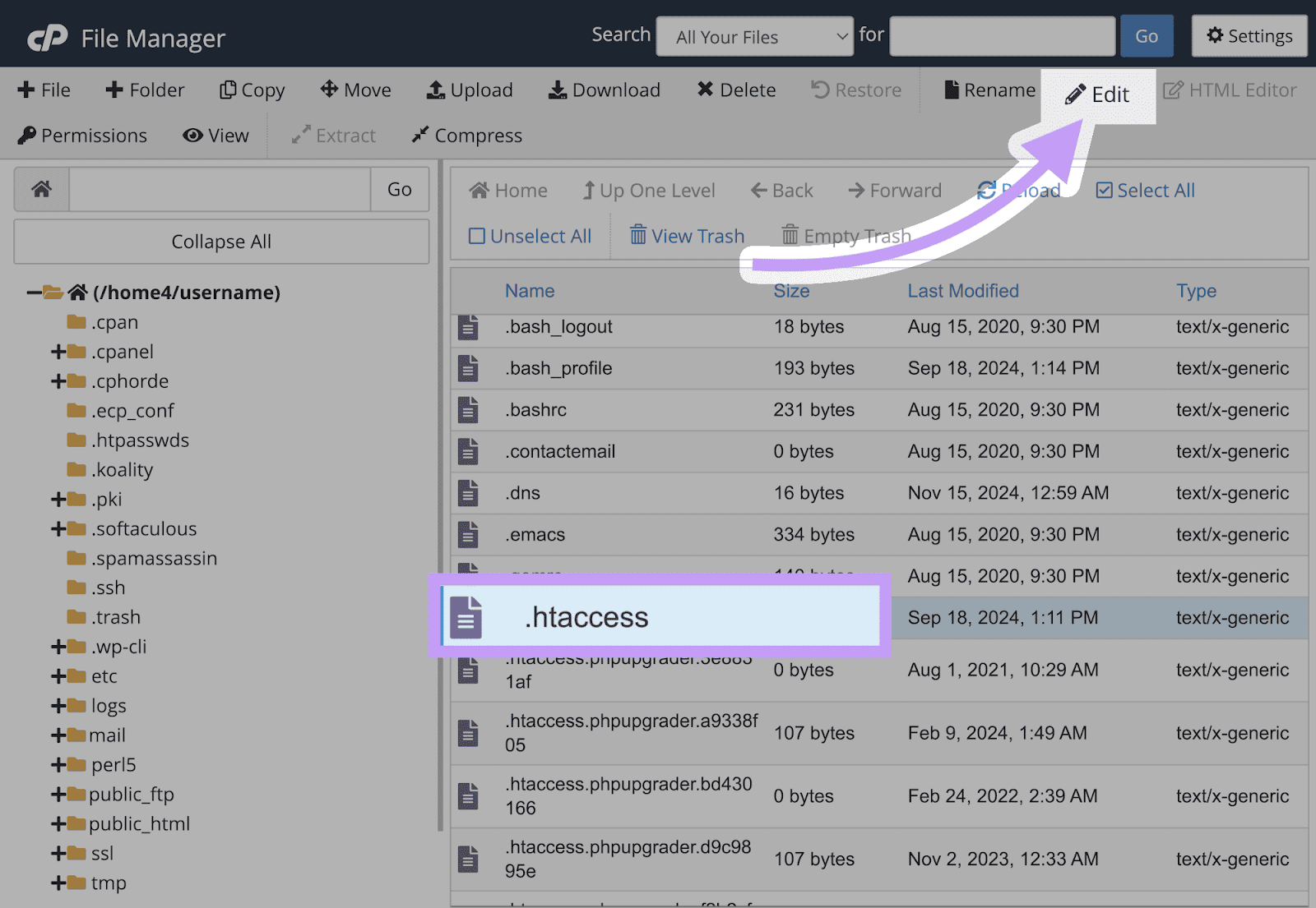 .htaccess file selected and edit button highlighted