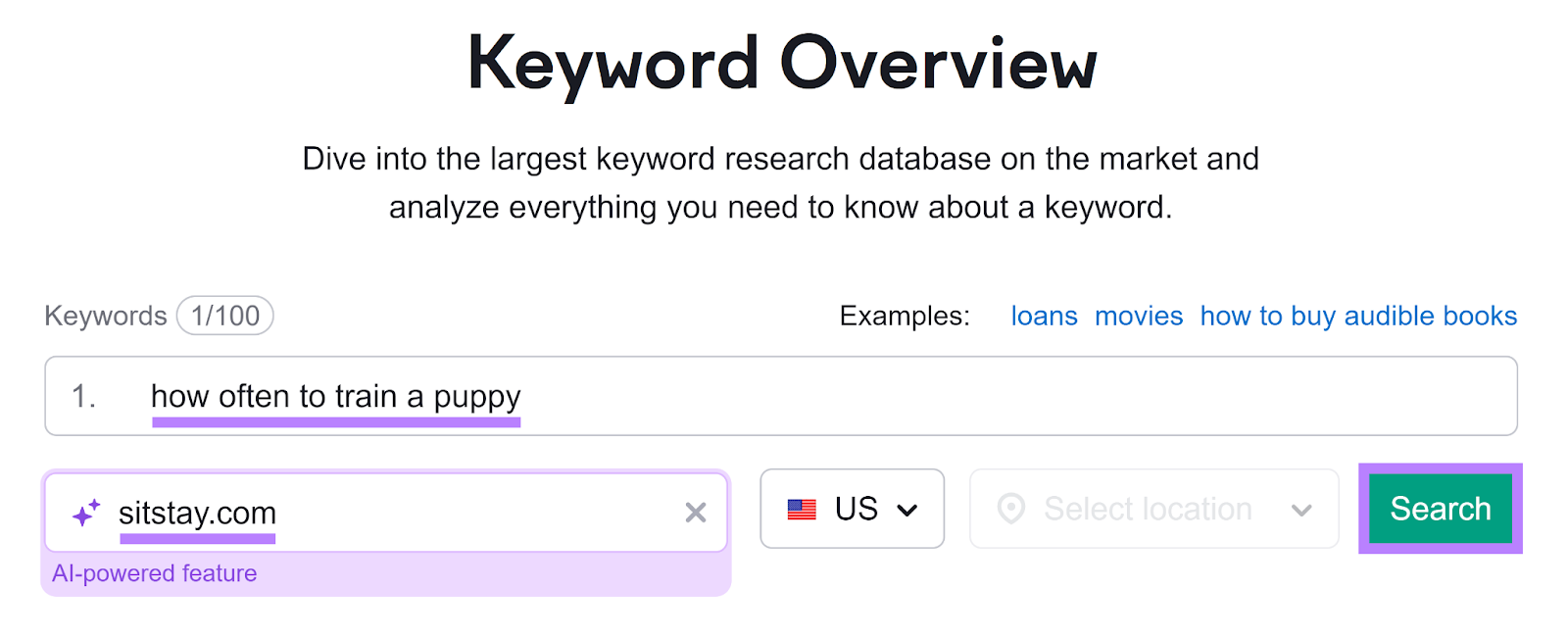 Keyword Overview start page with keyword and domain entered and Search button highlighted