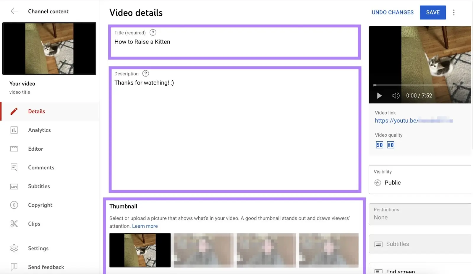 Video details dashboard with Title, description, and Thumbnails sections highlighted