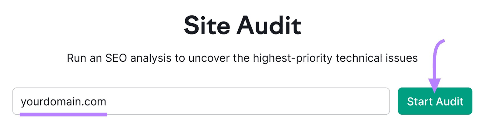 Site Audit tool search bar