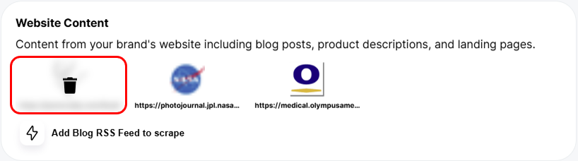 How to remove an RSS feed from your brand in AI Social Assistant.